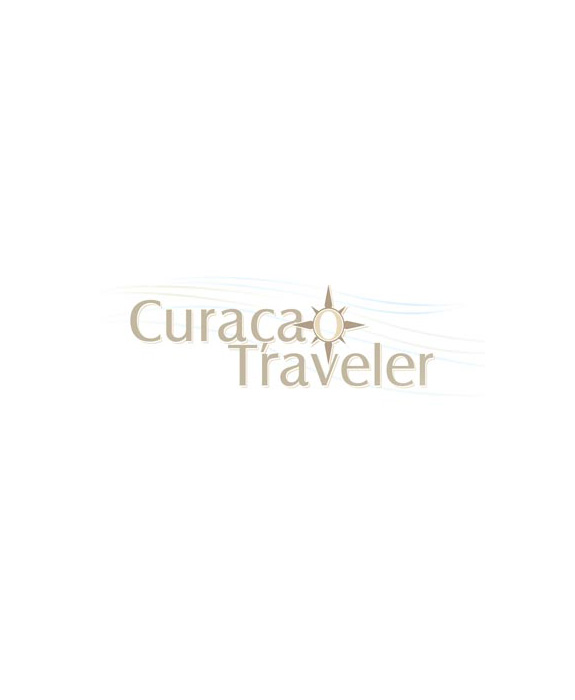 10_1_traveler